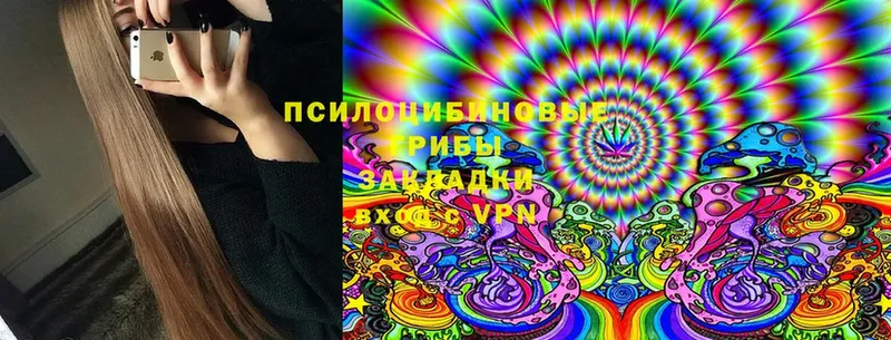 как найти наркотики  гидра ССЫЛКА  Псилоцибиновые грибы Psilocybine cubensis  мориарти телеграм  Геленджик 